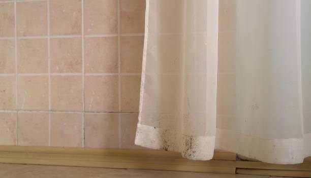 Best Mold Odor Removal Services  in Saranac, MI
