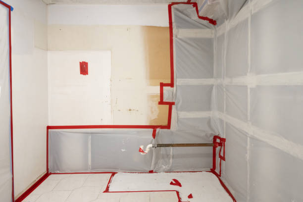 Best Mold-Related Health Consultation  in Saranac, MI